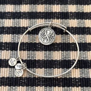 Silver Charm Bangle Bracelet Alex and Ani